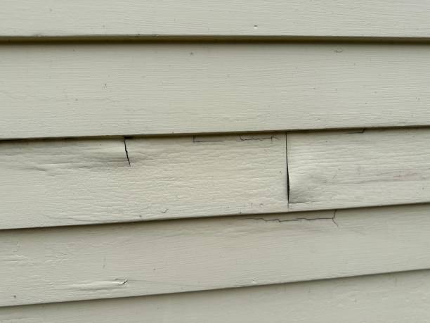 Best Wood Siding Installation  in Whitehall, WI